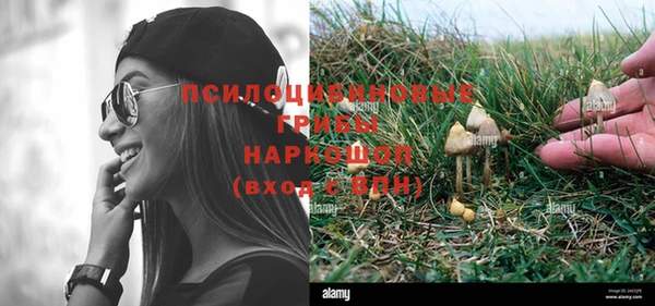 ECSTASY Армянск