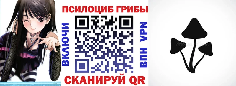 как найти закладки Тетюши Галлюциногенные грибы Psilocybe